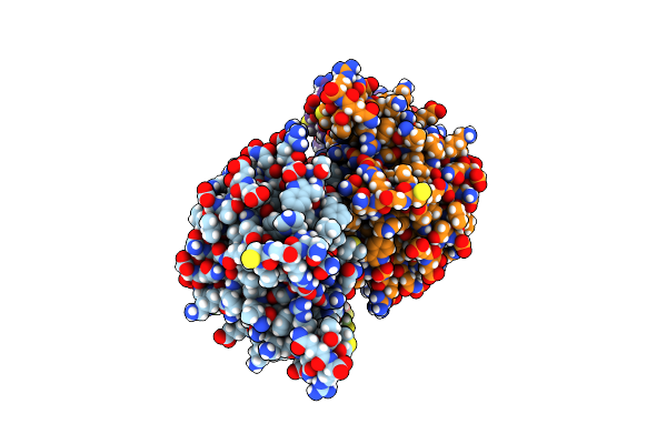 9DLG image
