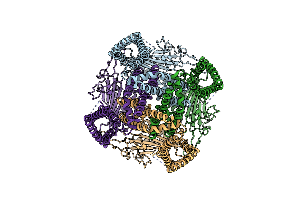 9DLI image