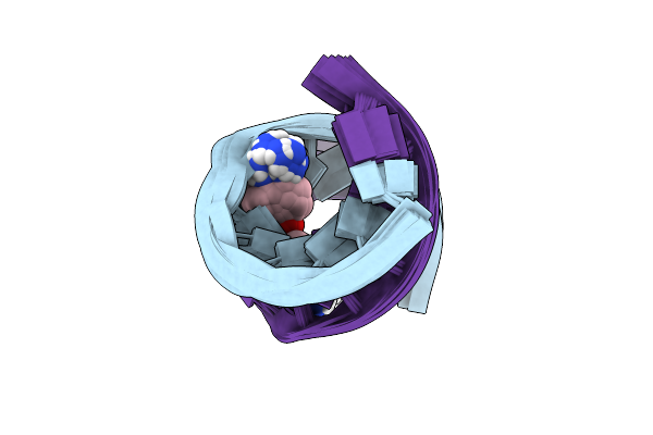 9DLL image