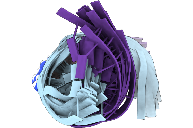 9DLN image