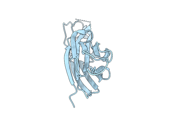 9DLO image