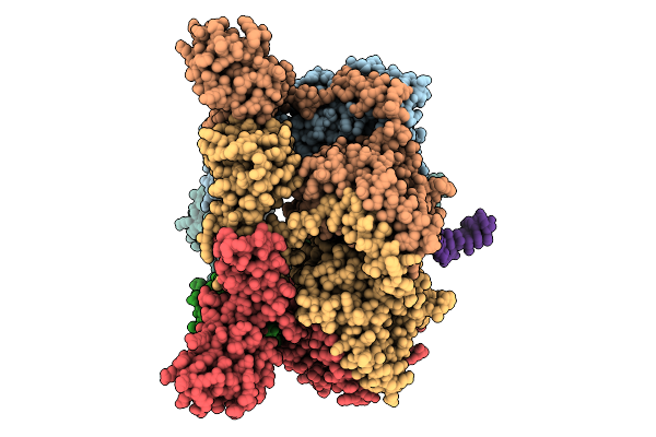 9DLS image
