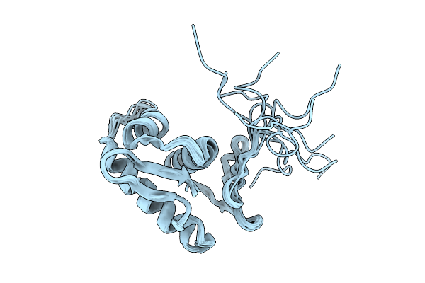 9DLU image