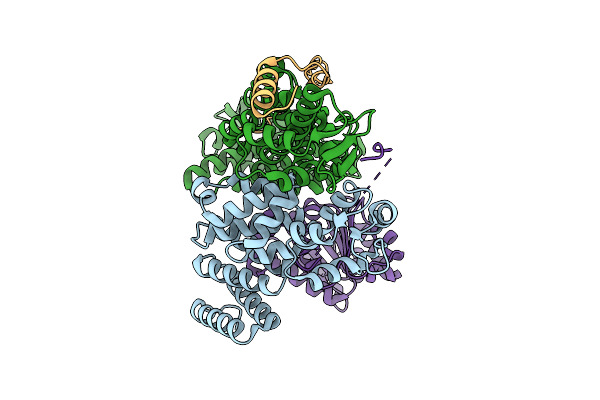 9DLV image