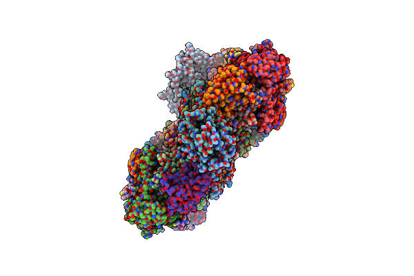 9DM1 image