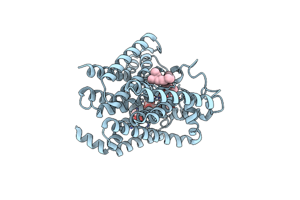 9DM5 image