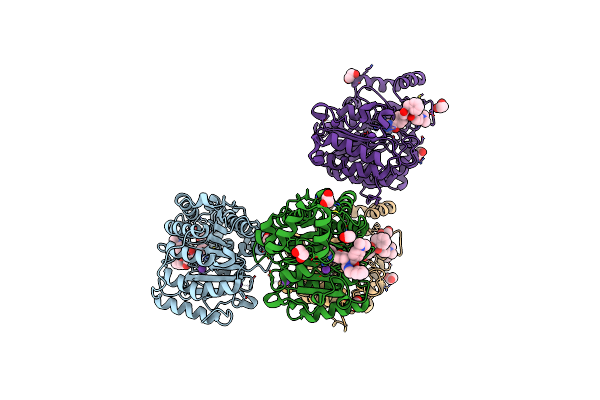 9DM6 image