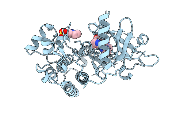 9DM8 image
