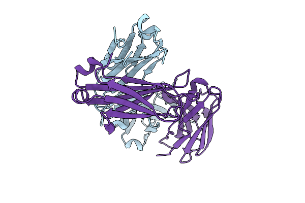 9DMF image