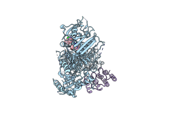 9DMI image