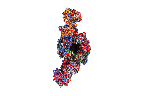 9DMJ image