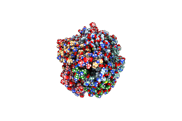 9DMT image