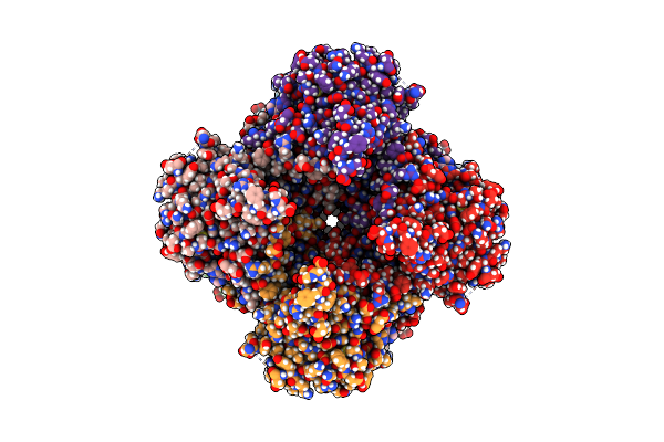 9DMU image