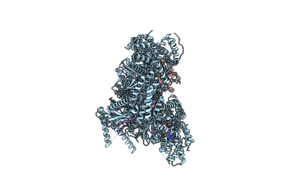 9DNB image