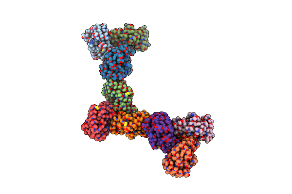 9DNE image