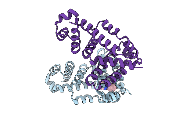 9DNH image
