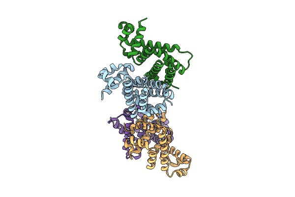 9DNL image