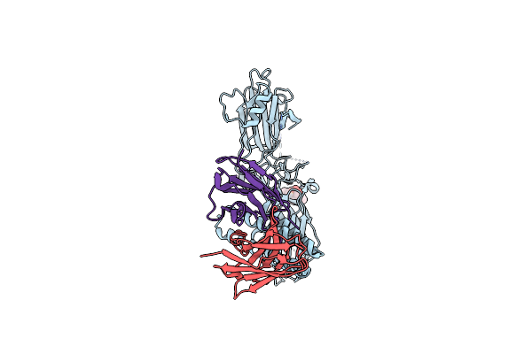 9DNM image