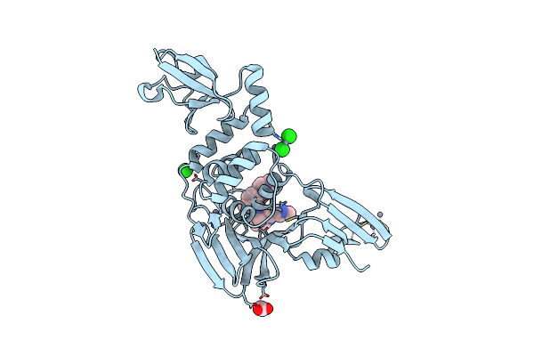 9DNV image