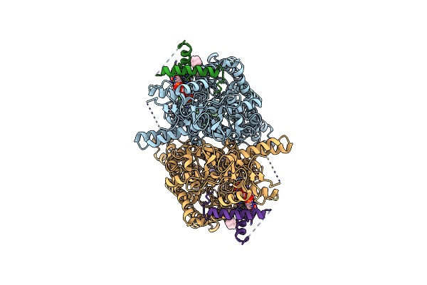 9DNX image