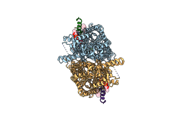 9DNY image