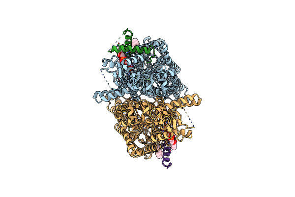 9DNZ image