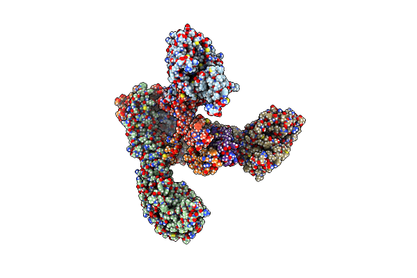 9DOF image