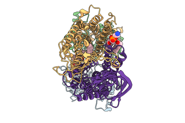 9DOH image