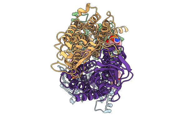 9DOK image