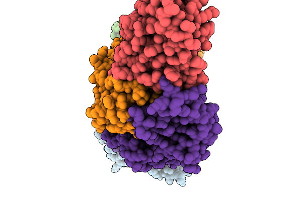 9DOQ image
