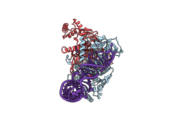 9DOW image