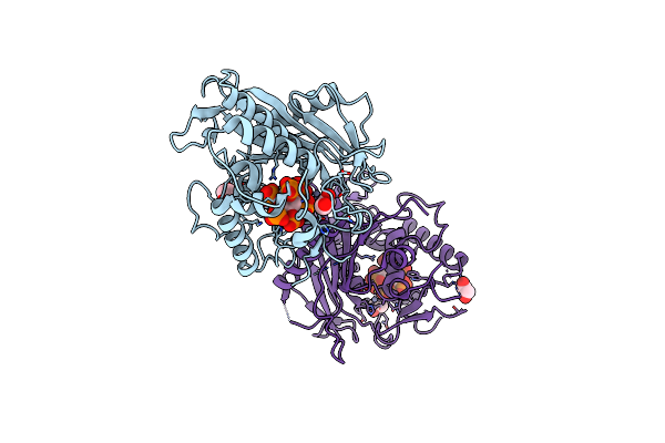 9DP5 image