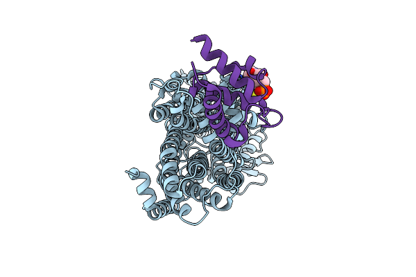 9DP6 image