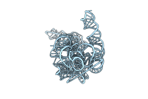 9DP9 image