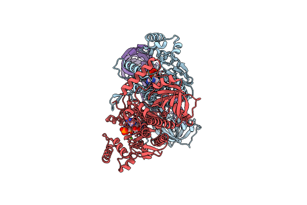 9DPB image