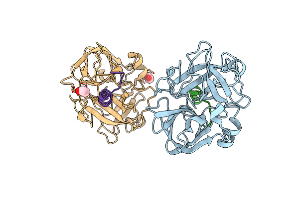 9DPF image