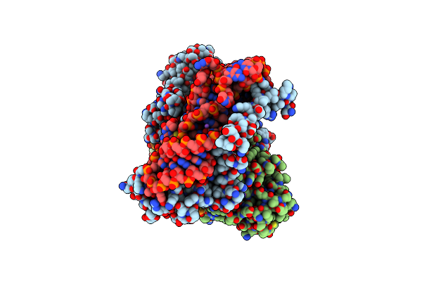 9DPL image