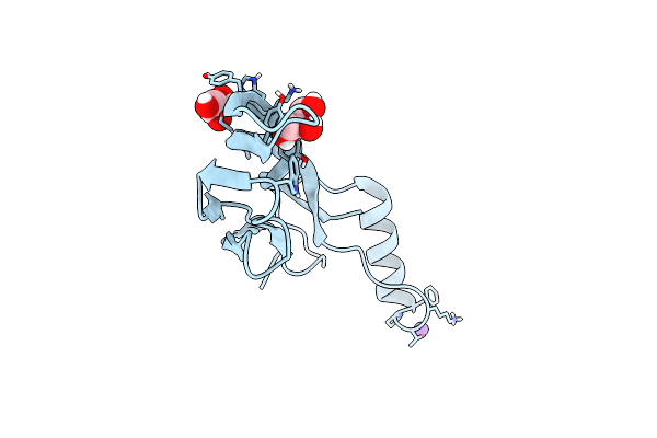 9DPU image