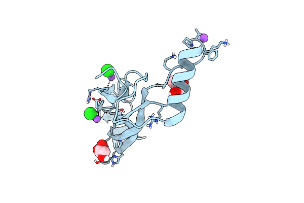 9DPX image