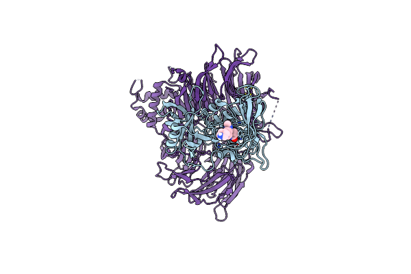9DQD image