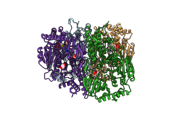 9DQI image