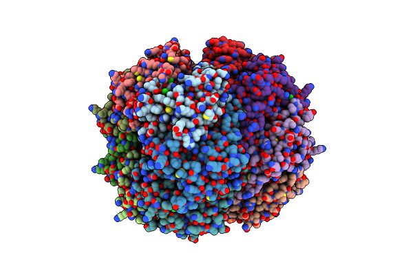 9DQL image