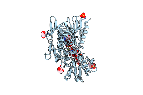 9DQW image