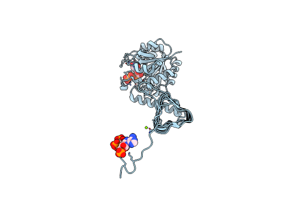 9DR4 image