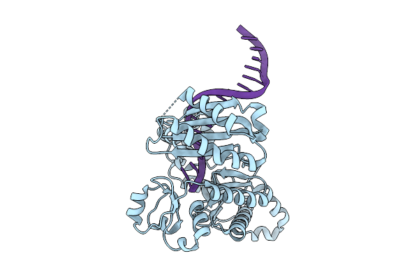 9DRB image