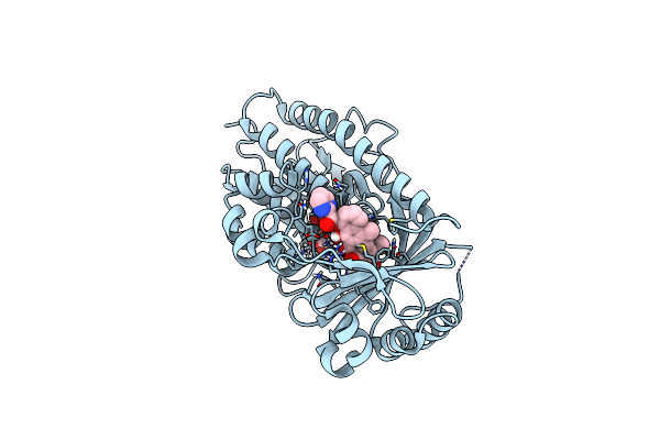 9DRH image