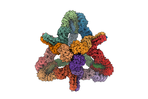 9DRL image