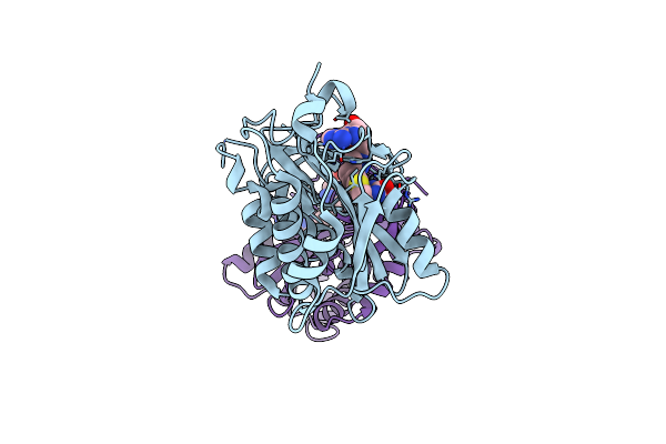 9DRN image