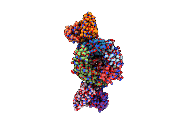 9DRX image