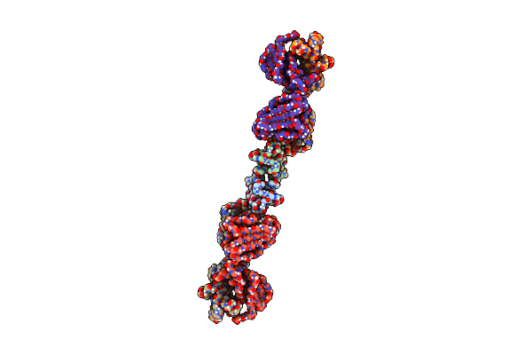 9DRY image